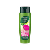 Follow Me Green Tea Shampoo 320Ml (Soft & Smooth)